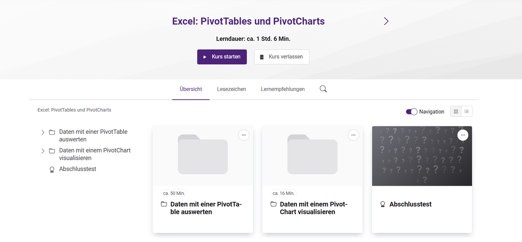 Excel: PivotTables und PivotCharts 